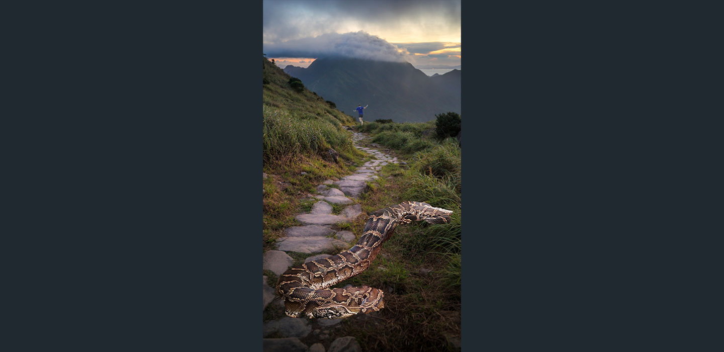 Hong Kong Nature| Kyle Obermann - China Current