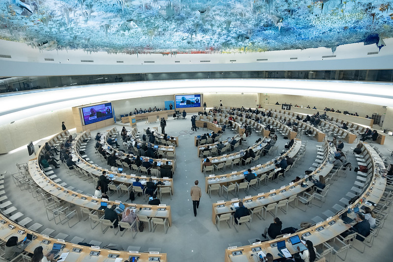 Concerns and Recommendations Regarding the Reduction of Periodicity of Reporting for Special Procedures to the General Assembly - Cairo Institute for Human Rights Studies (CIHRS)