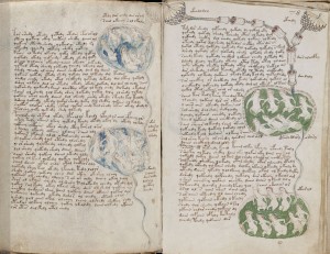 Green Voynich pools? I really don't *think* so, sorry. :-( - Cipher Mysteries