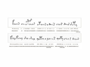 What's wrong with today's Voynich theory? - Cipher Mysteries