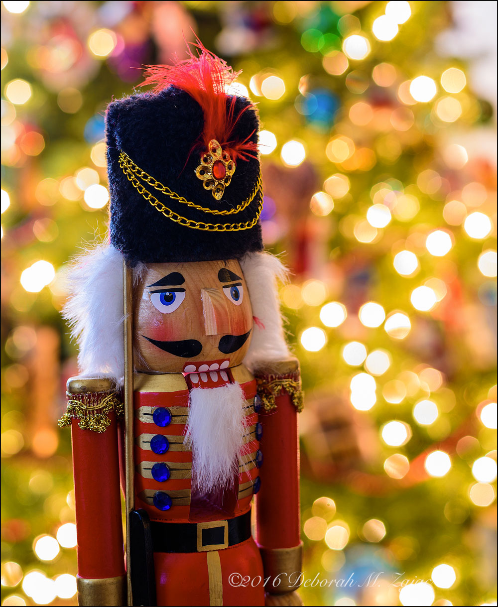 Christmas Cheer! – Circadianreflections Blog