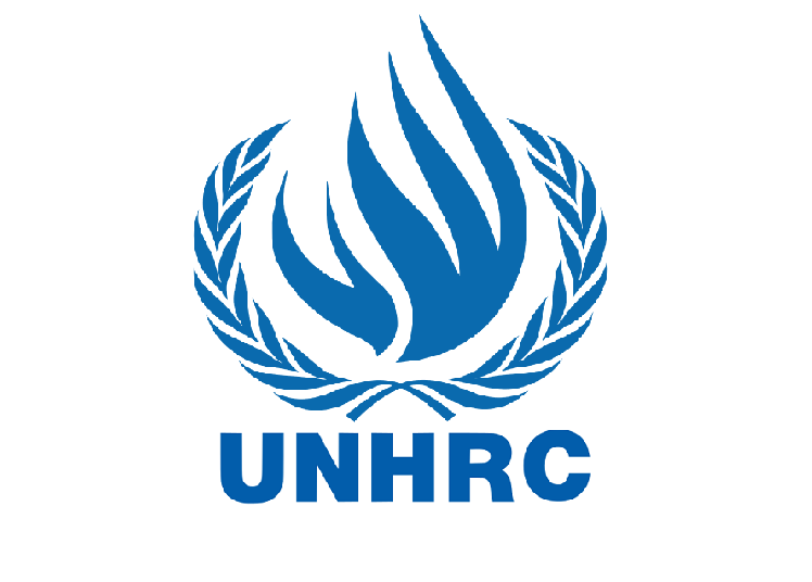 Submission to the UN Special Rapporteur on Violence Against Women