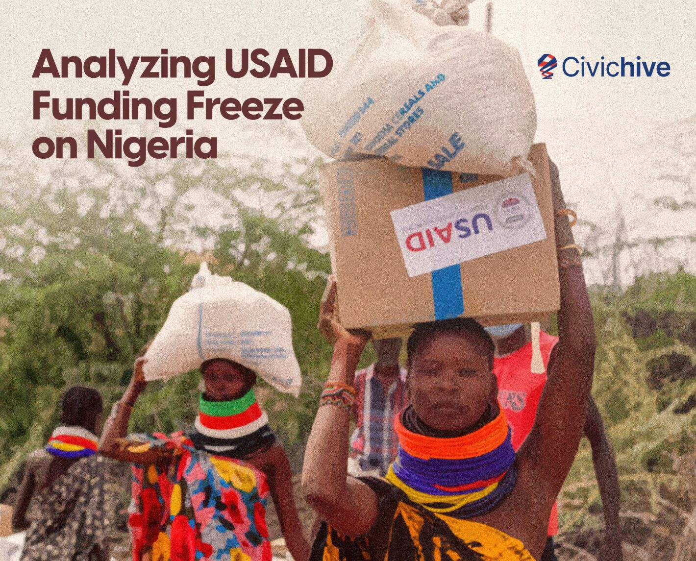 Analyzing USAID Funding Freeze on Nigeria - CivicHive