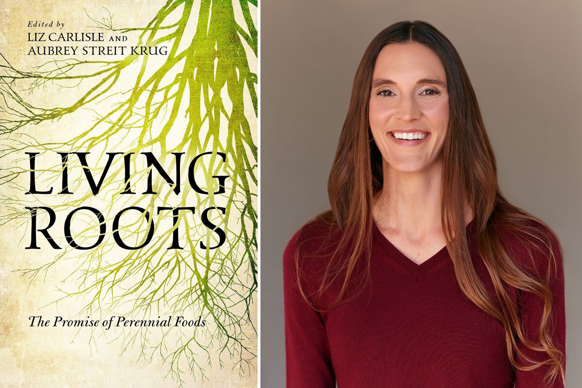 The Power of Perennial Agriculture | Civil Eats