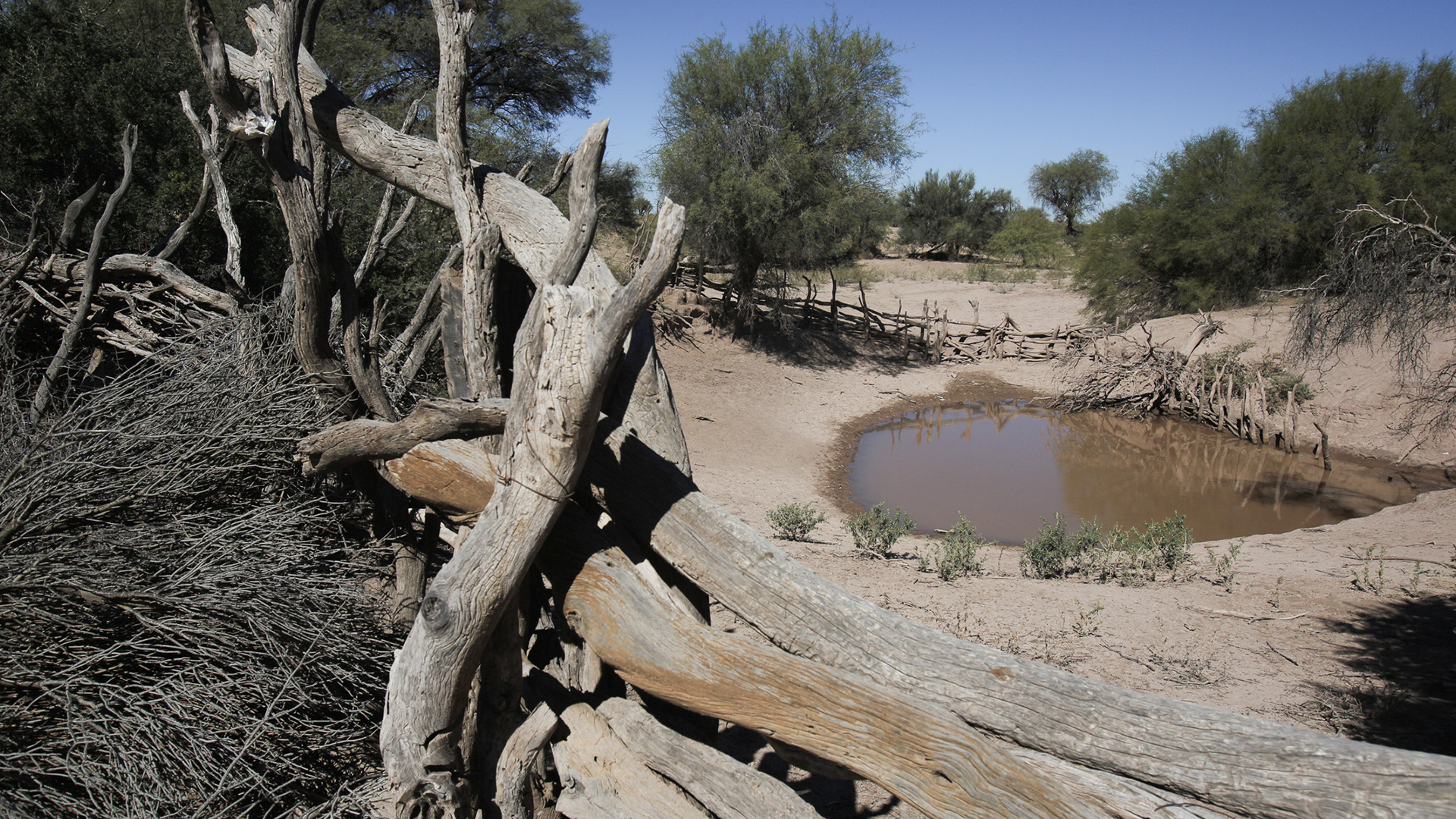 PALM-TREES – Regard panafricain et transdisciplinaire à la périphérie de l’Afrique : Faire face aux risques d’événements extrêmes | CLARE - CLimate Adaptation & REsilience