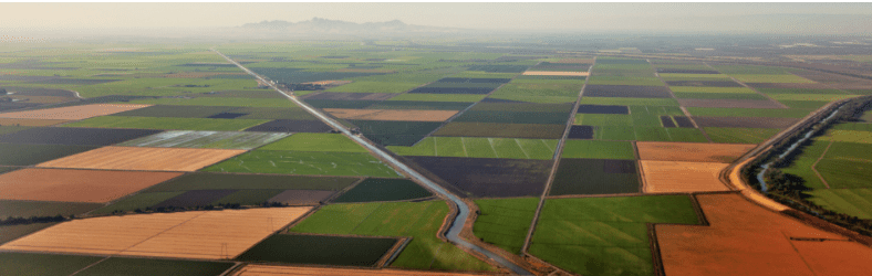 Climate Innovation Meets Working Lands: Hybrid Carbon Dioxide Removal Strategies in California - 28 January 2026 - Clean Coalition