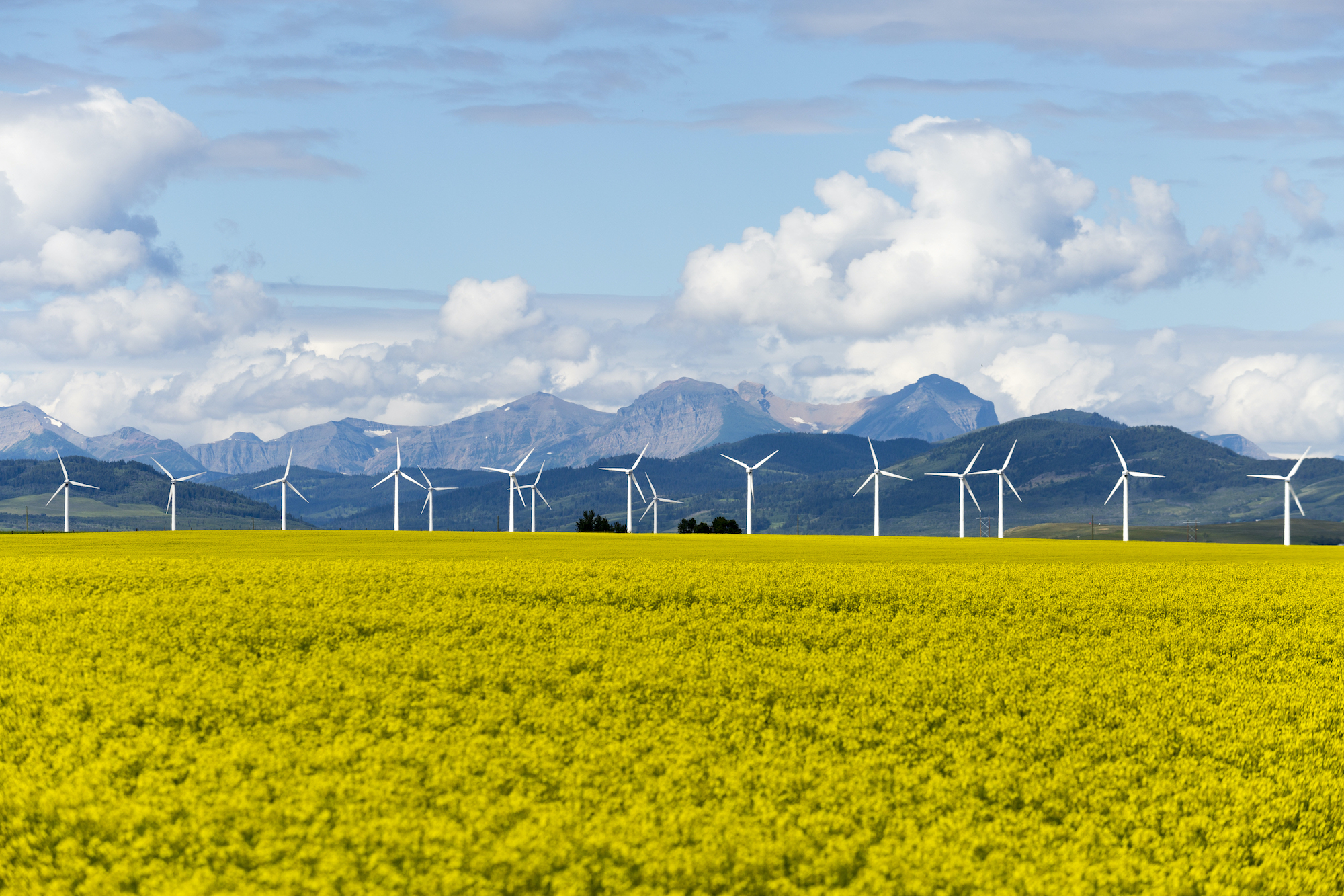 Solar and wind with battery storage are set to produce cheaper electricity than natural gas in Alberta and Ontario: report - Clean Energy Canada