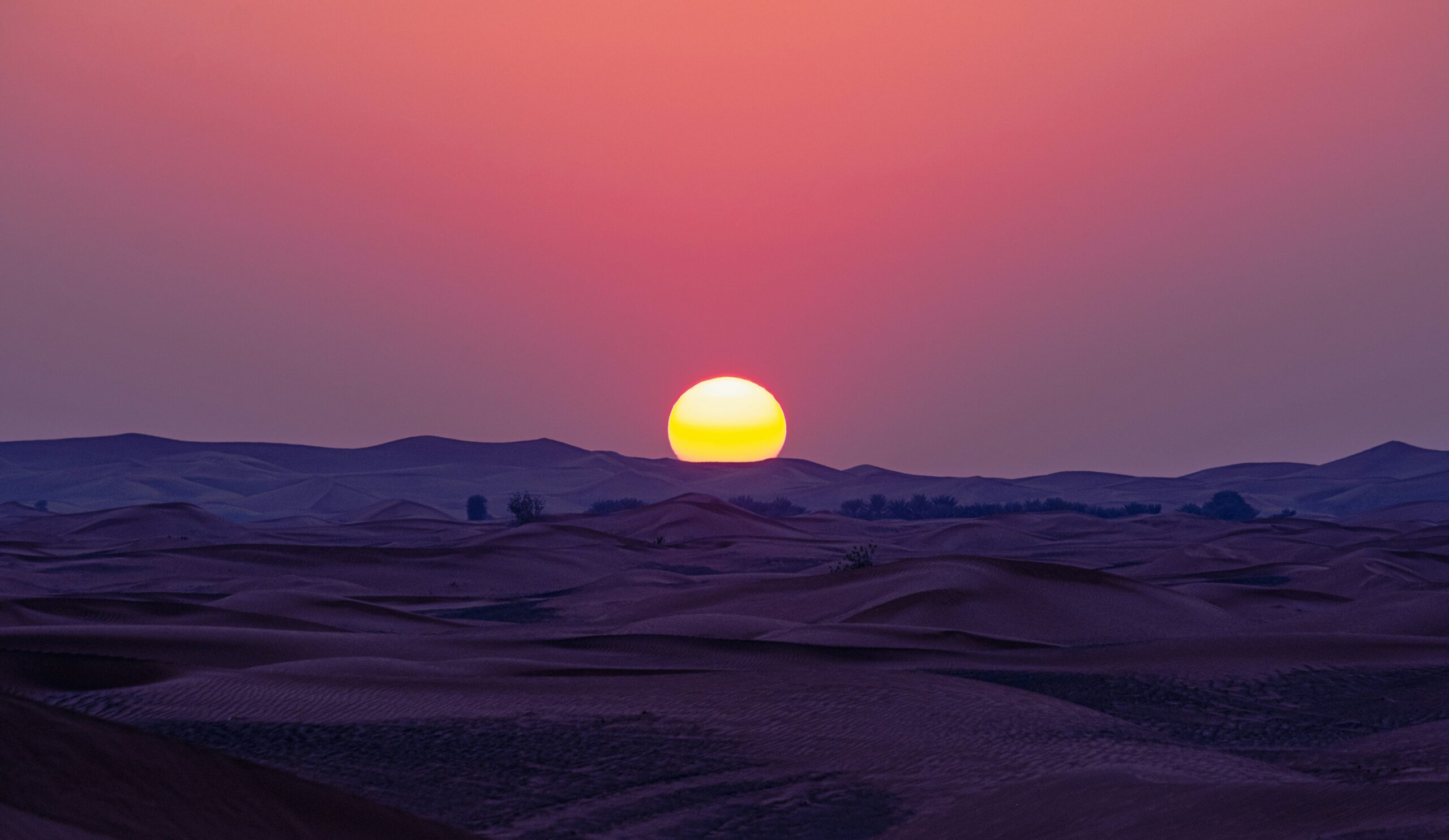 2024 Trend Watch: The Innovators Behind Progress | Cleantech Group
