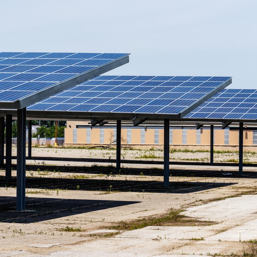 Carbon Offsets and Corporate Carbon Footprints - Clearloop