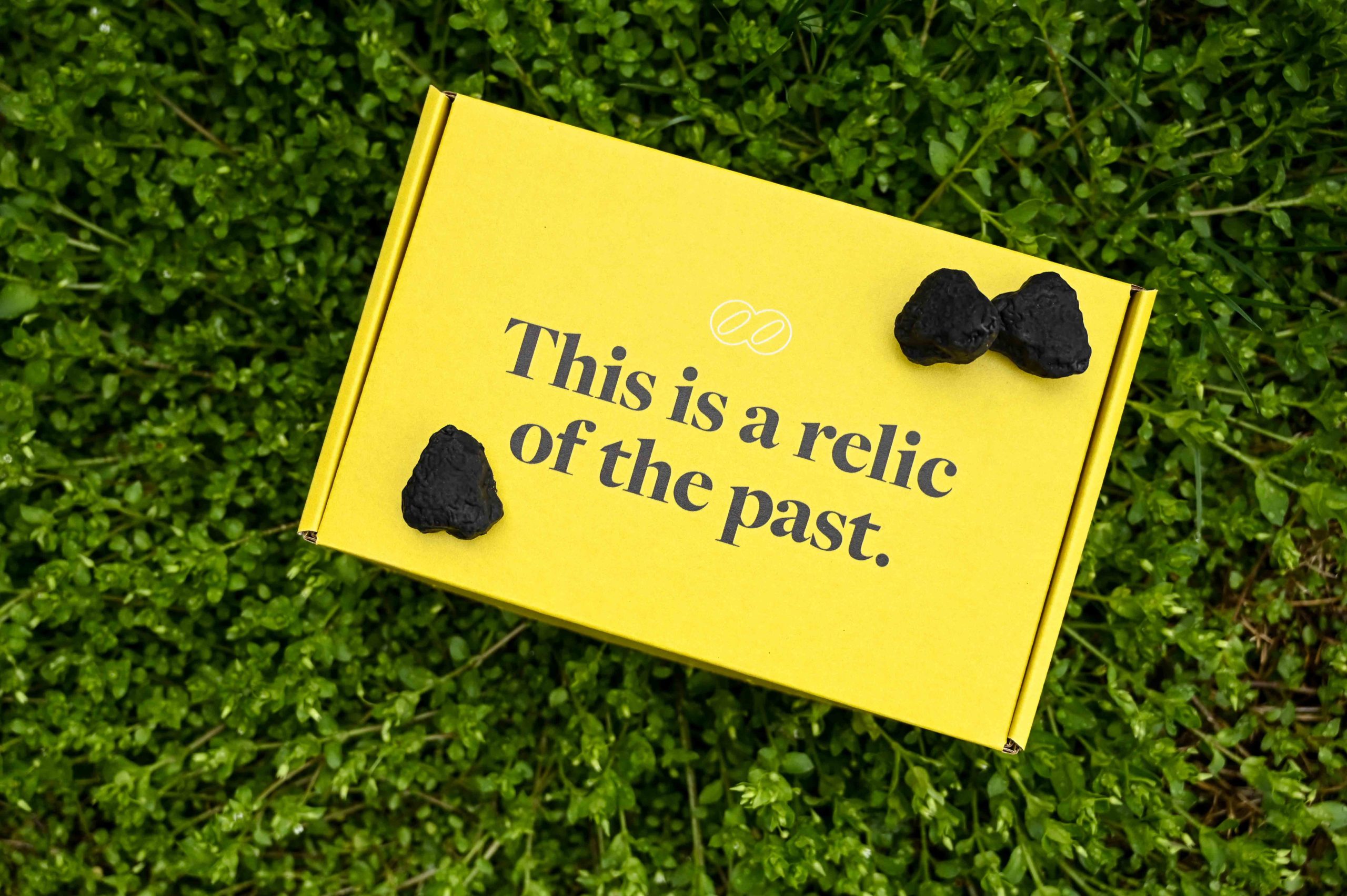 For Earth Day, get your name on a solar panel and clean up the grid