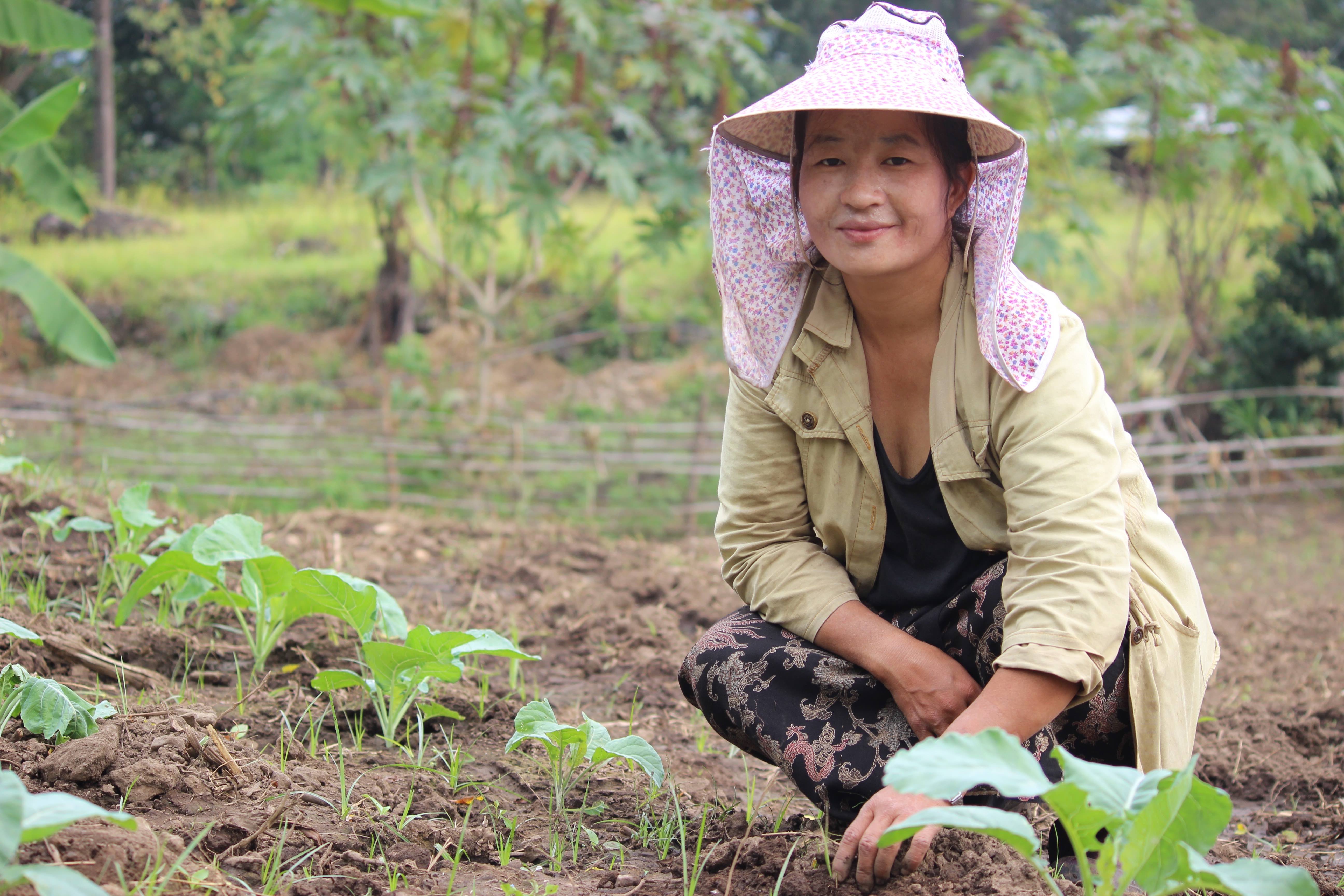 Why nature-based solutions are critical for climate change adaptation | UNDP Climate Promise