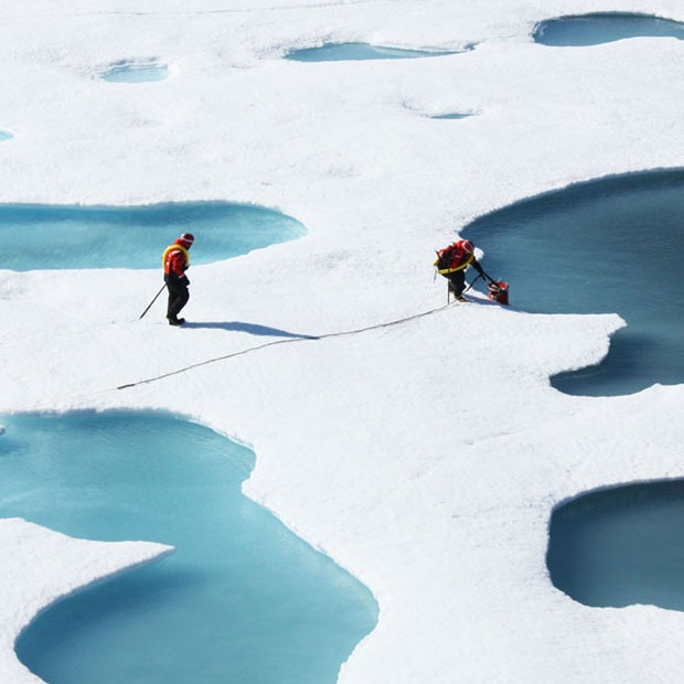 Climate change news from around the world | Climate State