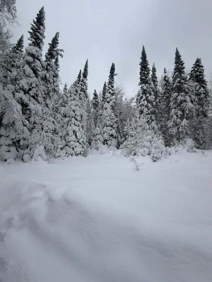 An Early Winter Wonderland: Wisconsin's Late November Snows of 2025 | Wisconsin State Climatology Office