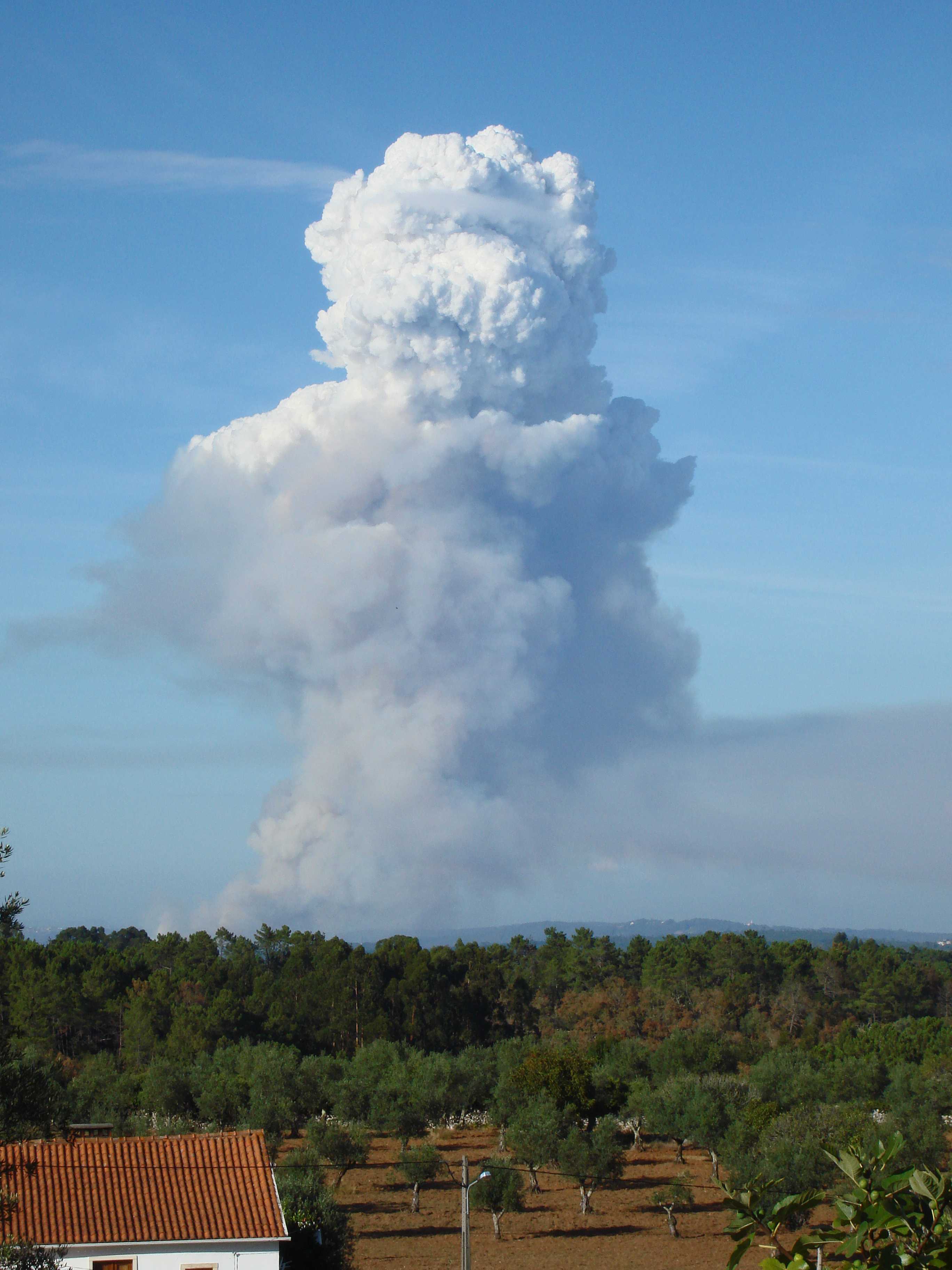 Flammagenitus | International Cloud Atlas