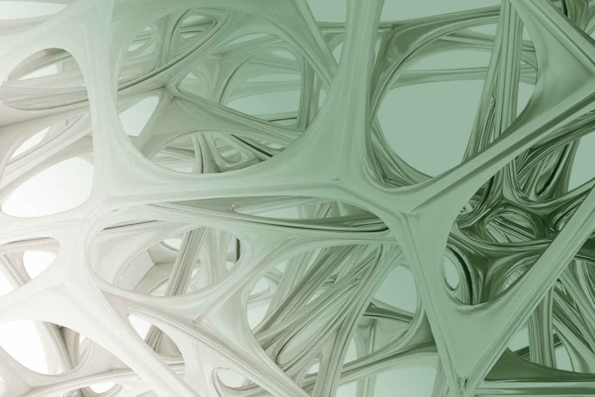 How to Harness the Potential of Bioinspired Innovation | California Management Review