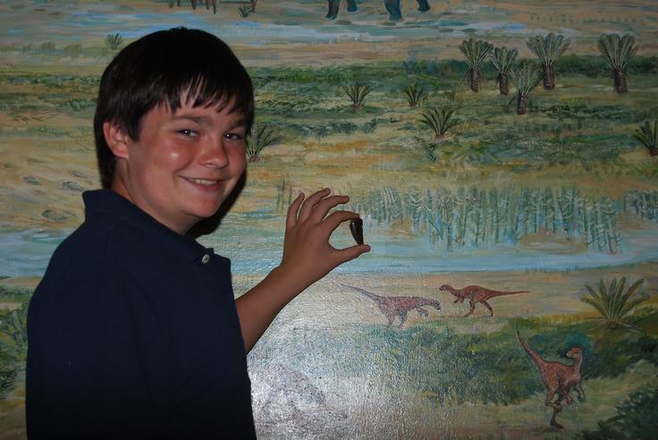 Dinosaur in Knysna: Full story | Knysna-Plett Herald