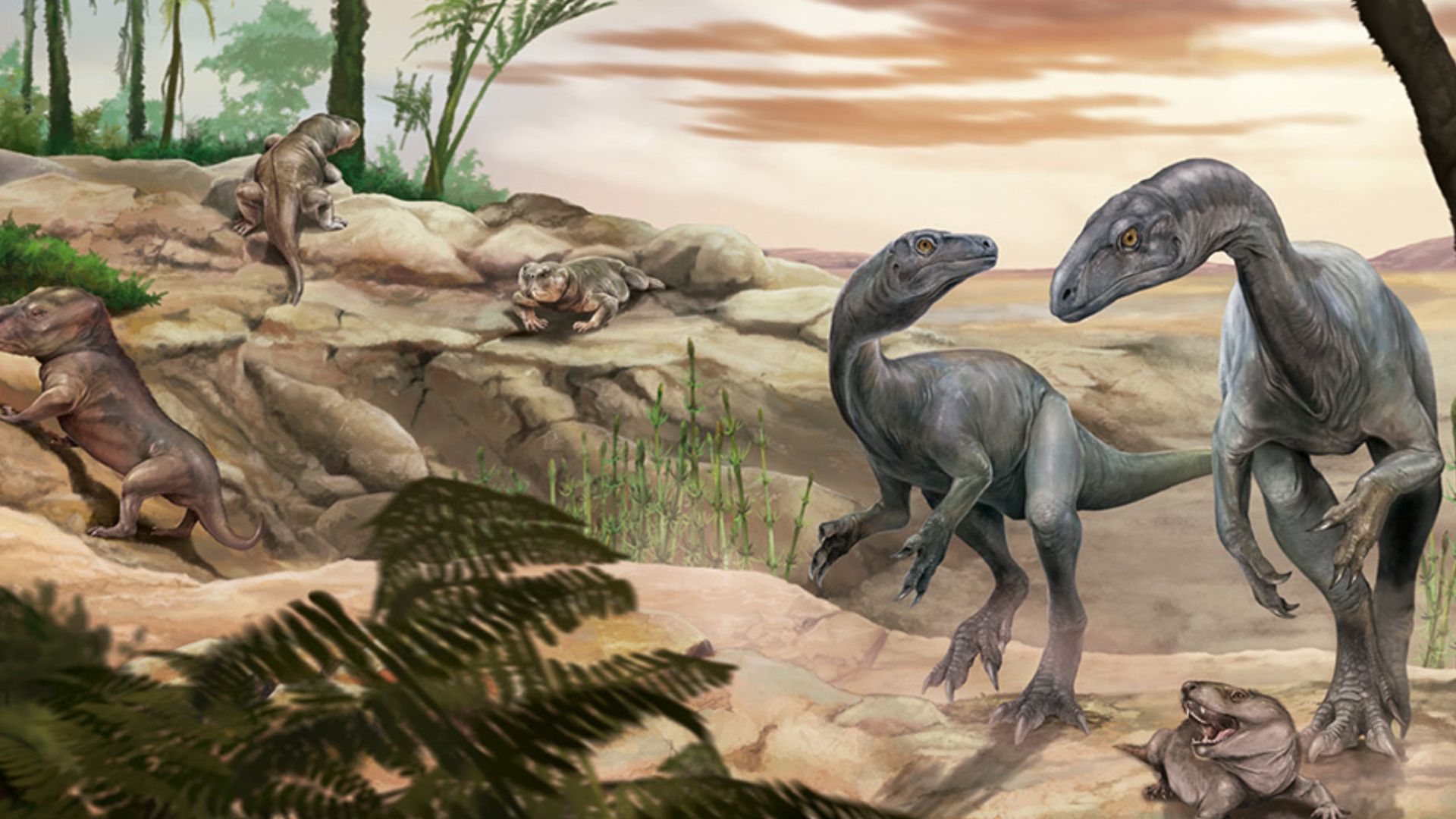 World's oldest dinosaur fossil discovered in Argentina