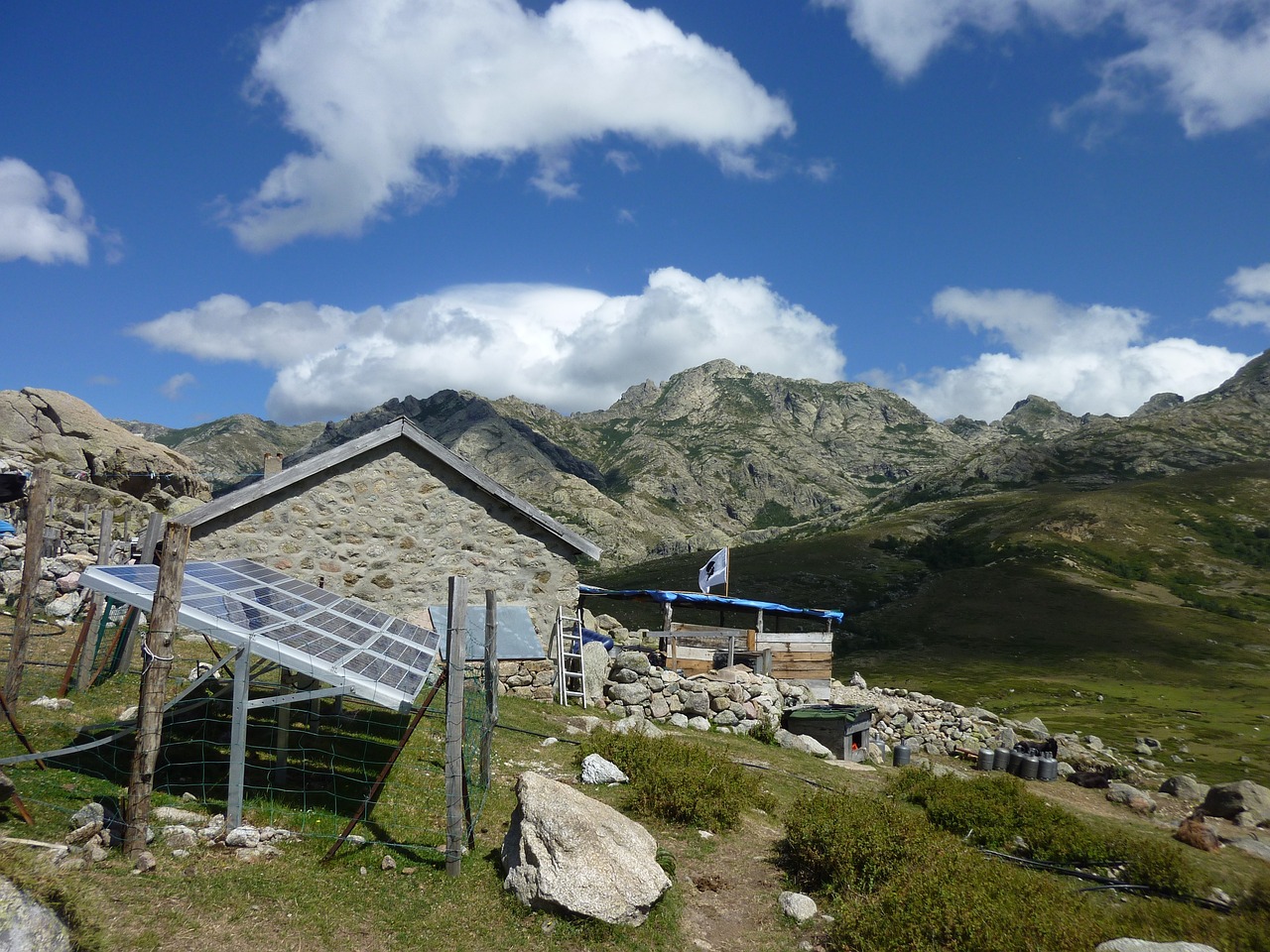 World’s Most Populous Nation Has Put Solar Out To Pasture. Other Countries Should Follow Suit - CO2 Coalition
