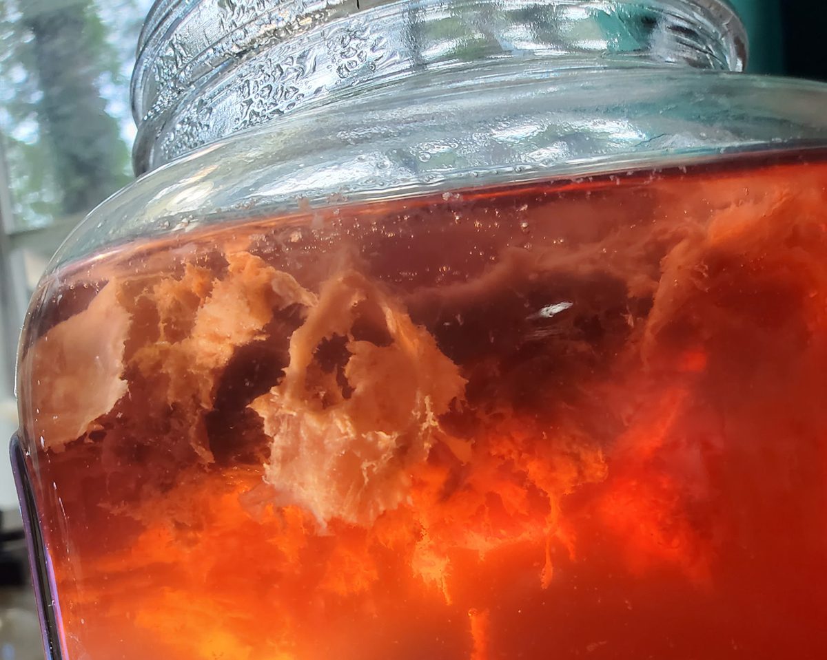 Sour Cabbage? There's history, benefits in that sauerkraut jar | Coastal Review