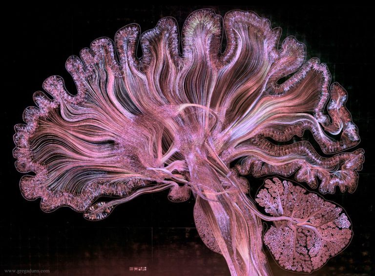 Moods Are The Brain’s Way of Creating Momentum - Thrive Global