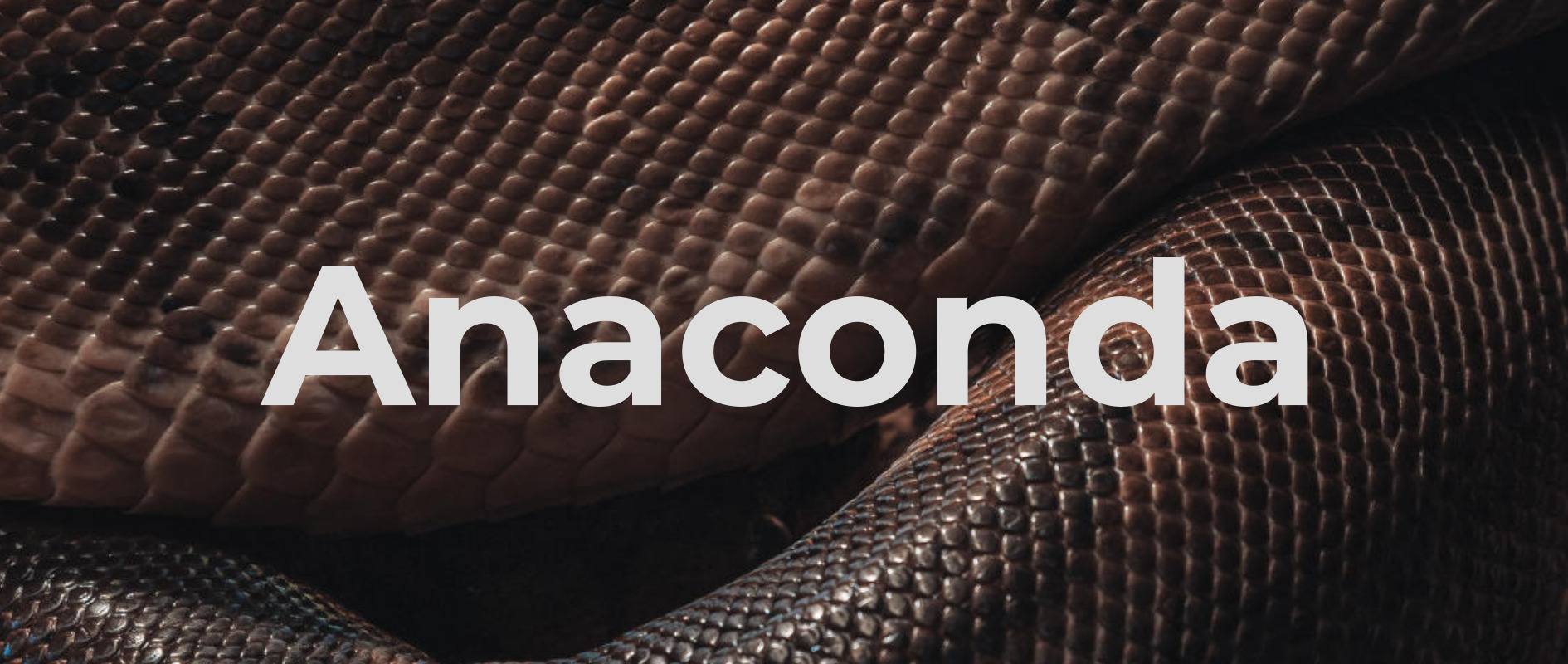 Anaconda is getting a new suit – Fedora Community Blog