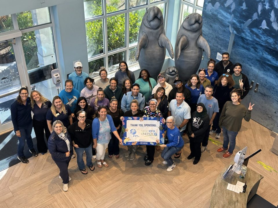 Guy Harvey Foundation and Florida Power & Light Company Celebrate Partnership Milestone | Biscayne Bay Tribune#