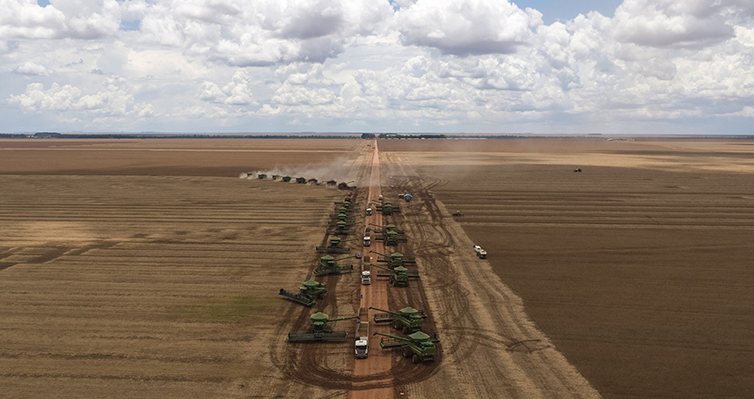 Rei da soja: Conheça um dos maiores produtores do país - Conteúdo e Notícias do Agronegócio Brasileiro | CompreRura