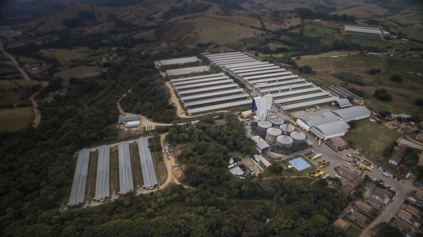 Rei do ovo: Conheça a maior granja de ovos da América Latina