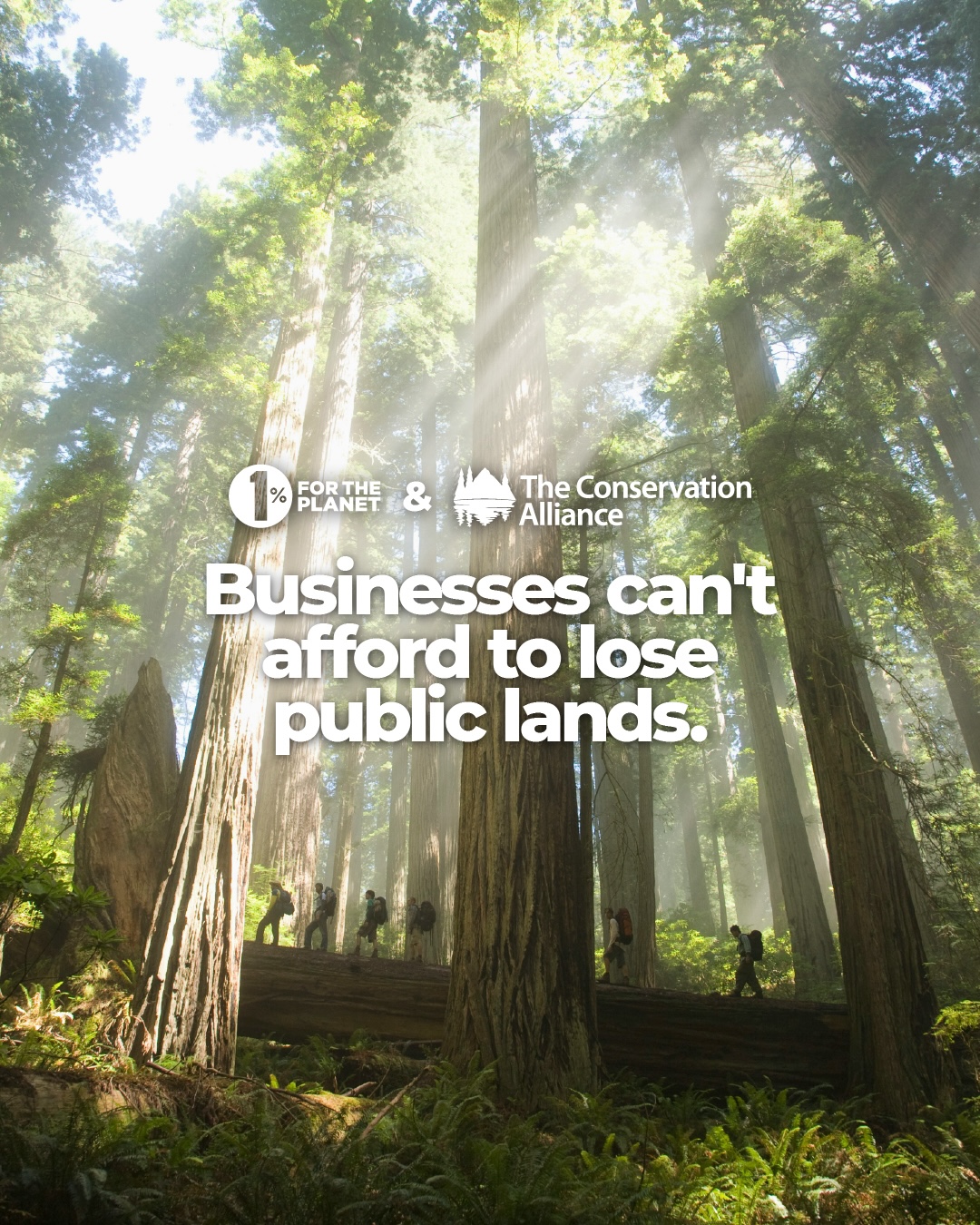Businesses Can’t Afford to Lose Public Lands - The Conservation Alliance