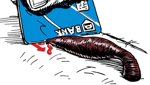 How to Remove a Leech | The Art of Manliness