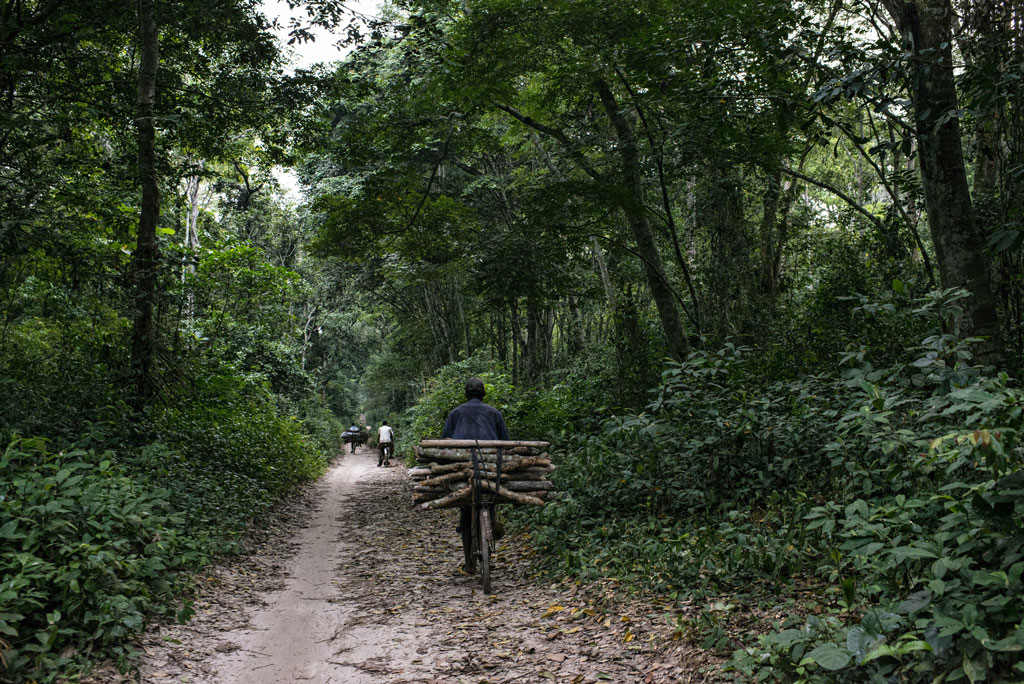 New Map Helps Distinguish Between Cyclical Farming and Deforestation in the Congo Basin | Global Forest Watch Blog