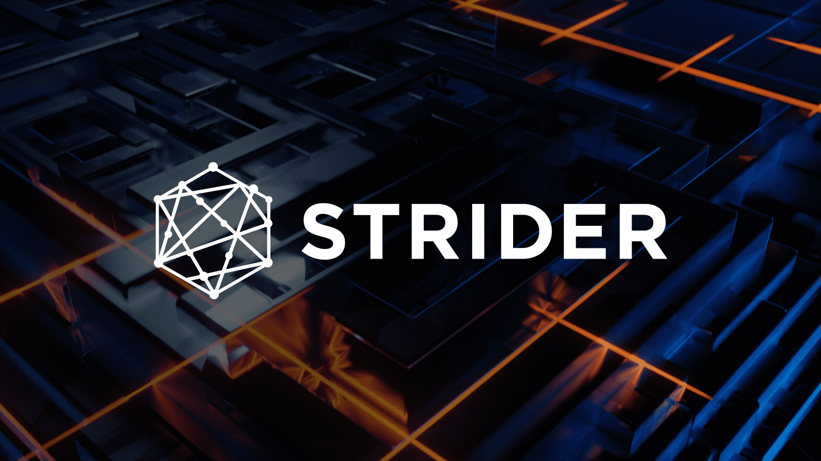 StriderIntel User cover