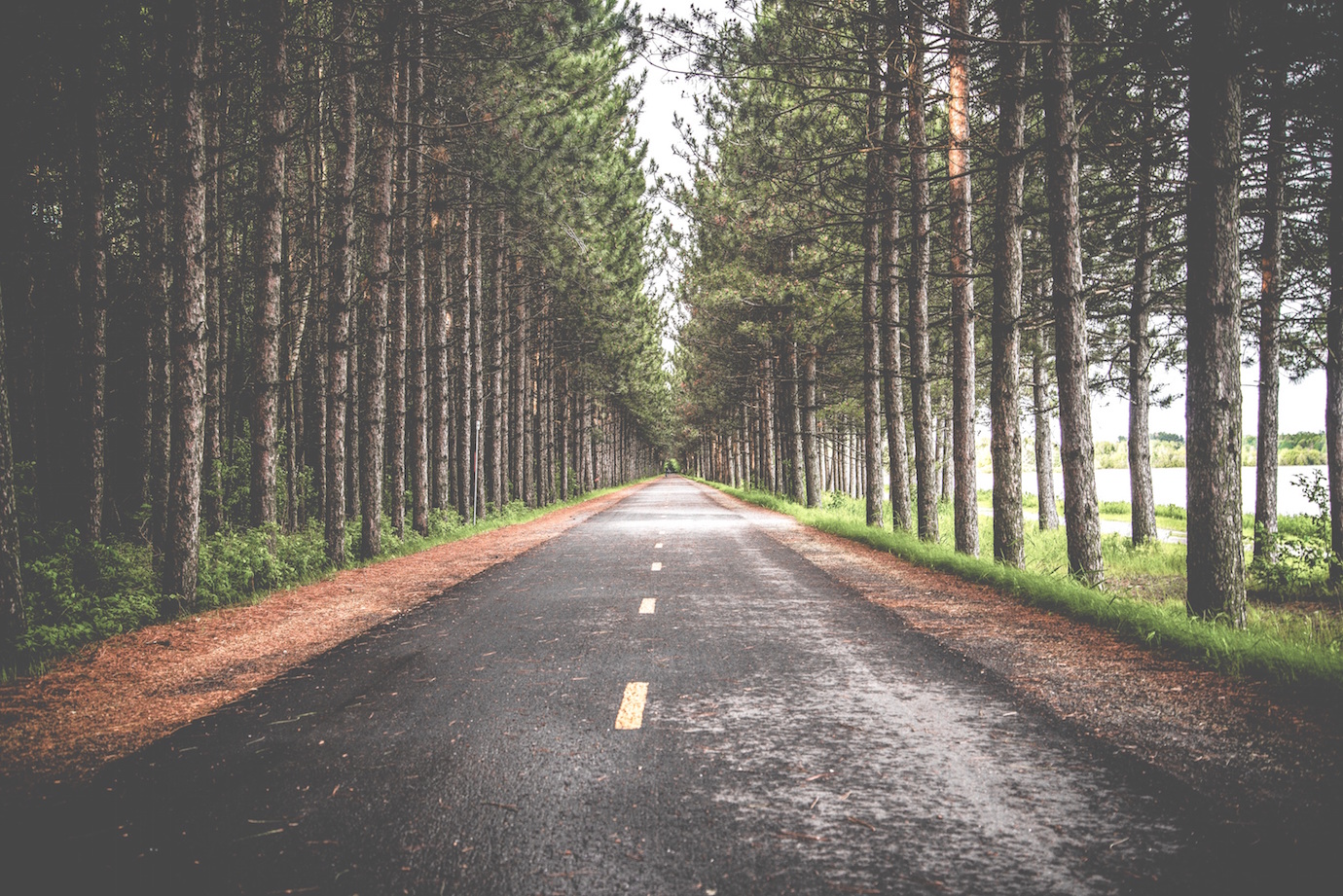 Onward: On healing and moving forward. | Cool Mom Picks