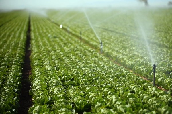 California Projected to Achieve Lowest Colorado River Use Since 1949