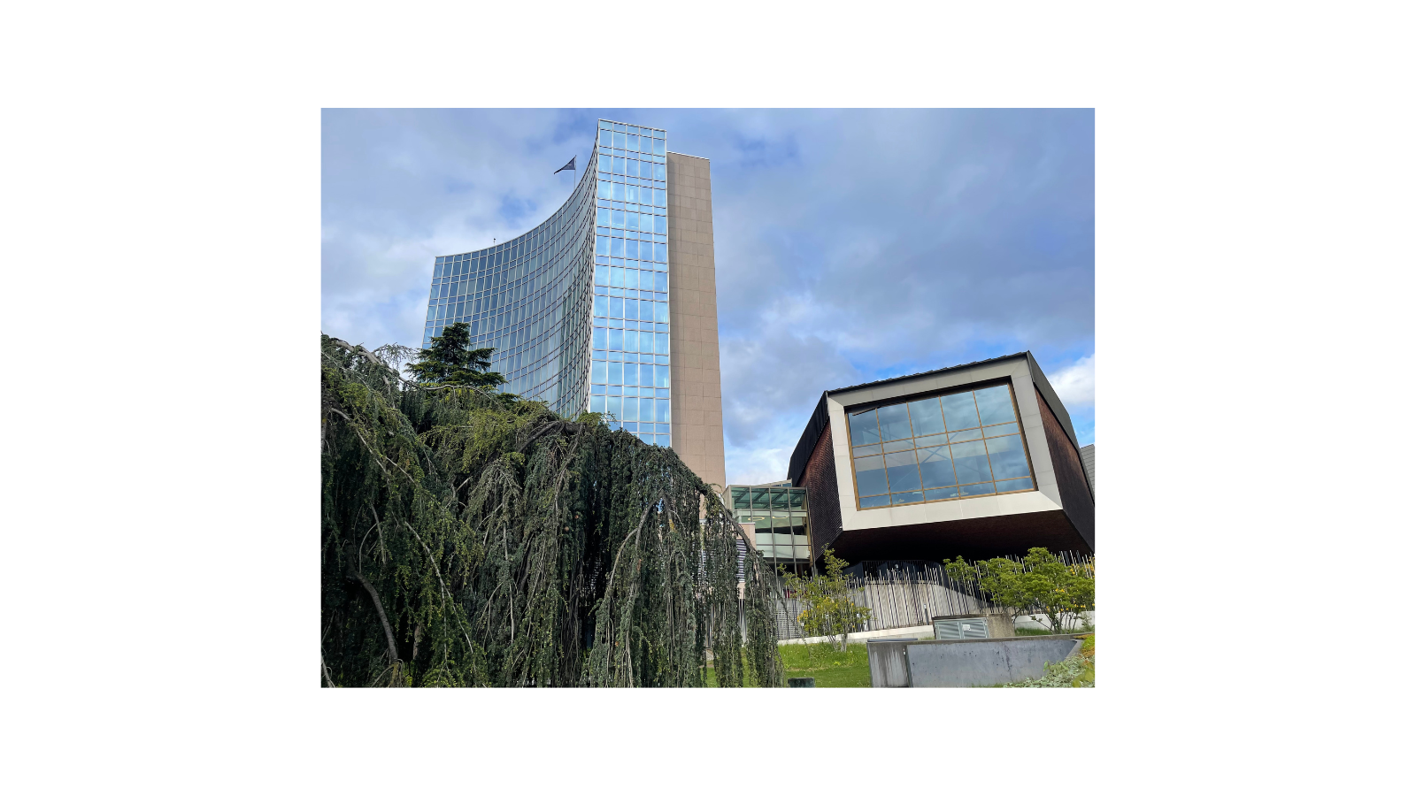 CC at WIPO: Slow progress on copyright exceptions for cultural heritage institutions - Creative Commons