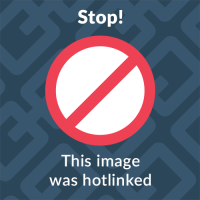 - Center for Stem Cell and Translational Immunotherapy (CSTI)