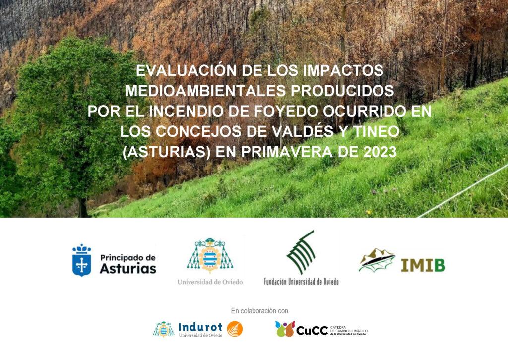 Evaluación de los impactos medioambientales producidos por el incendio de Foyedo (Asturias) ocurrido en primavera de 2023 | CuCC - Cátedra Cambio Climático