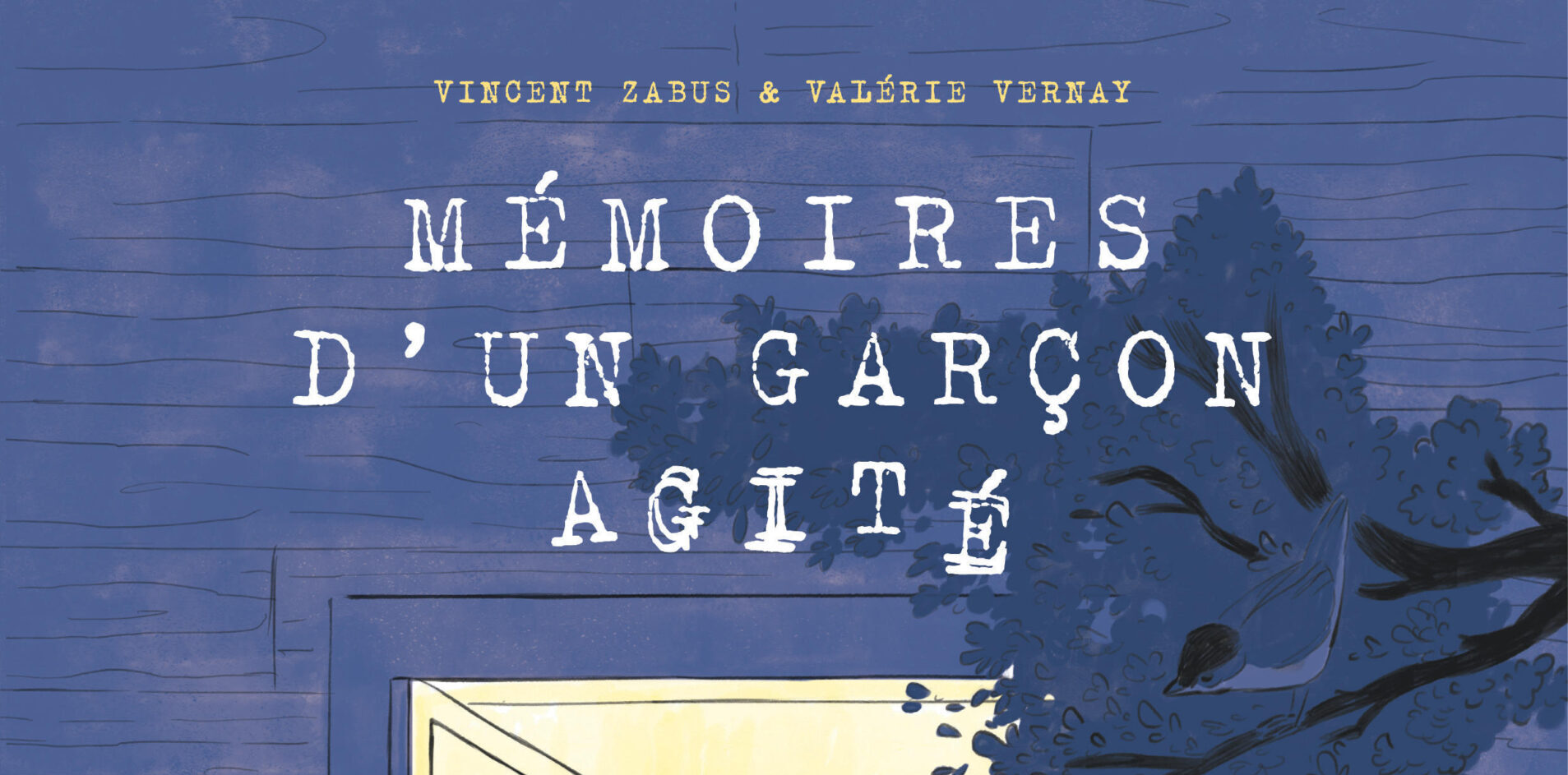 « Mémoires d’un garçon agité » de Vincent Zabus et Valérie Vernay : devenir écrivain - Cult