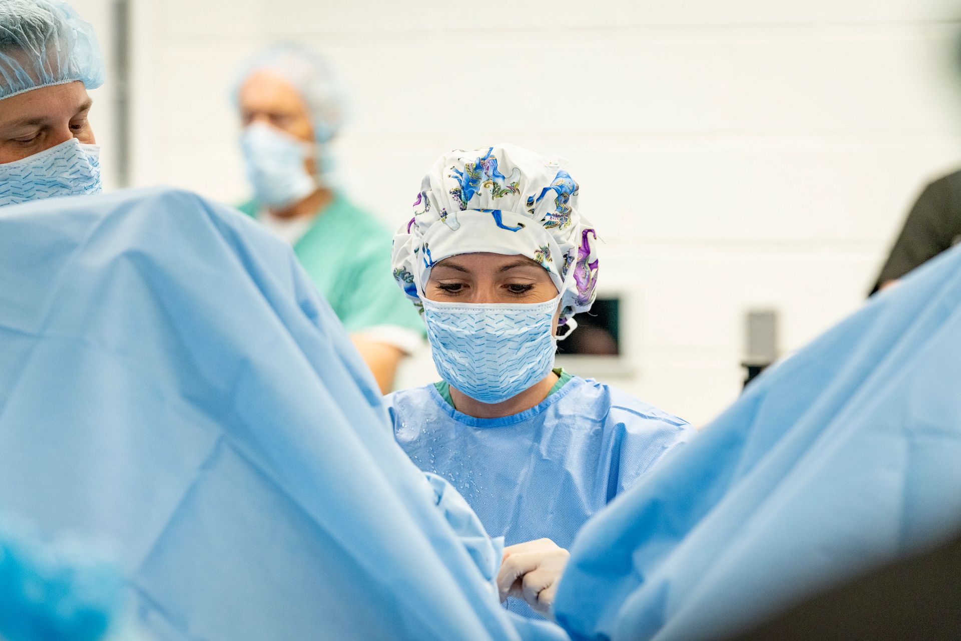 CSU vets expand on orthopedic research to aid horses and people | Colorado State University