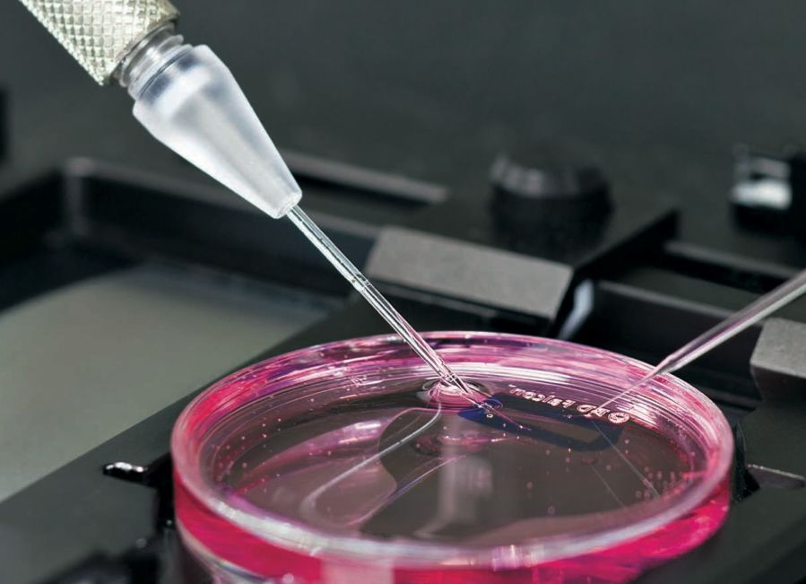 How Drugs Are Made: Genetic Data Begins To Pay Off For Pharmaceutical Companies Researching New Treatments | IBTimes