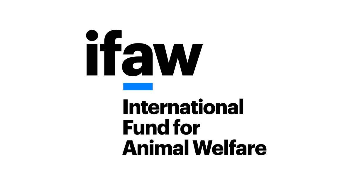 Ifawuk User cover