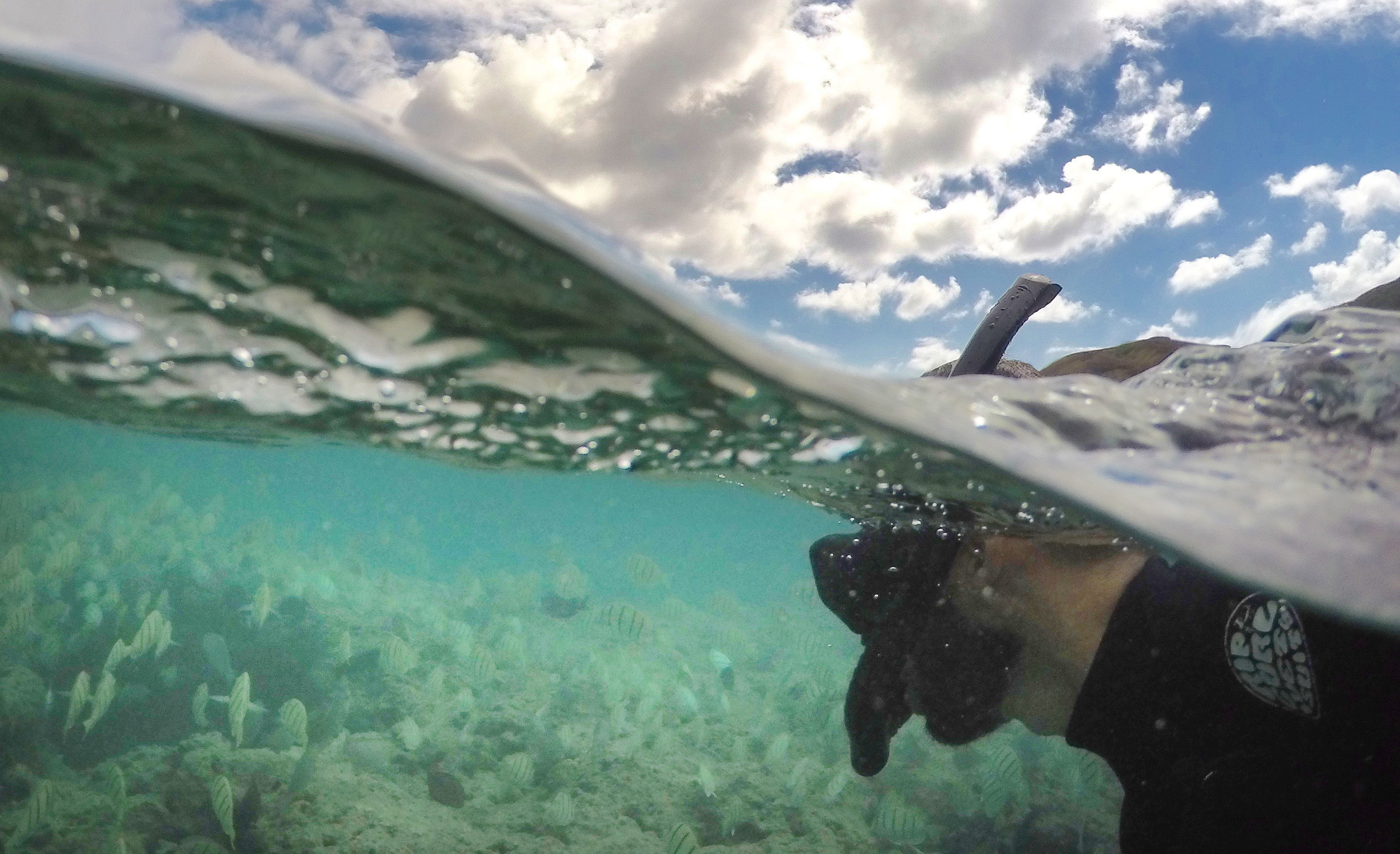 Snorkeling In Hawaii Is A Leading Cause Of Tourist Deaths - Honolulu Civil Beat
