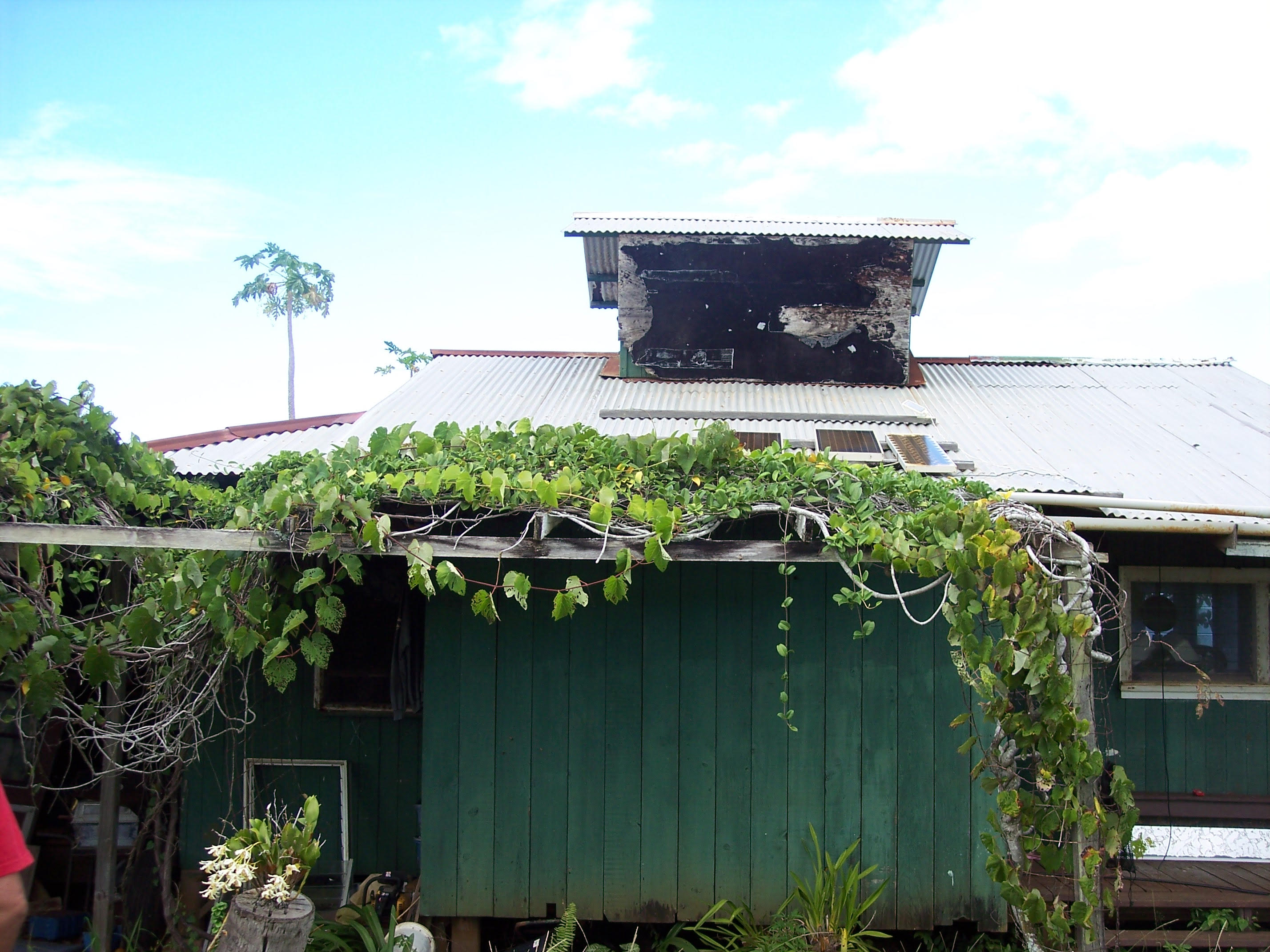 Trisha Kehaulani Watson: The Struggle Over Kauai's Kuleana Lands - Honolulu Civil Beat