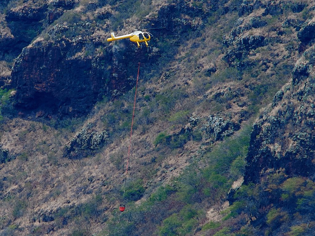 Honolulu Mayor Orders Review Of Wildfire Risk On Oahu - Honolulu Civil Beat
