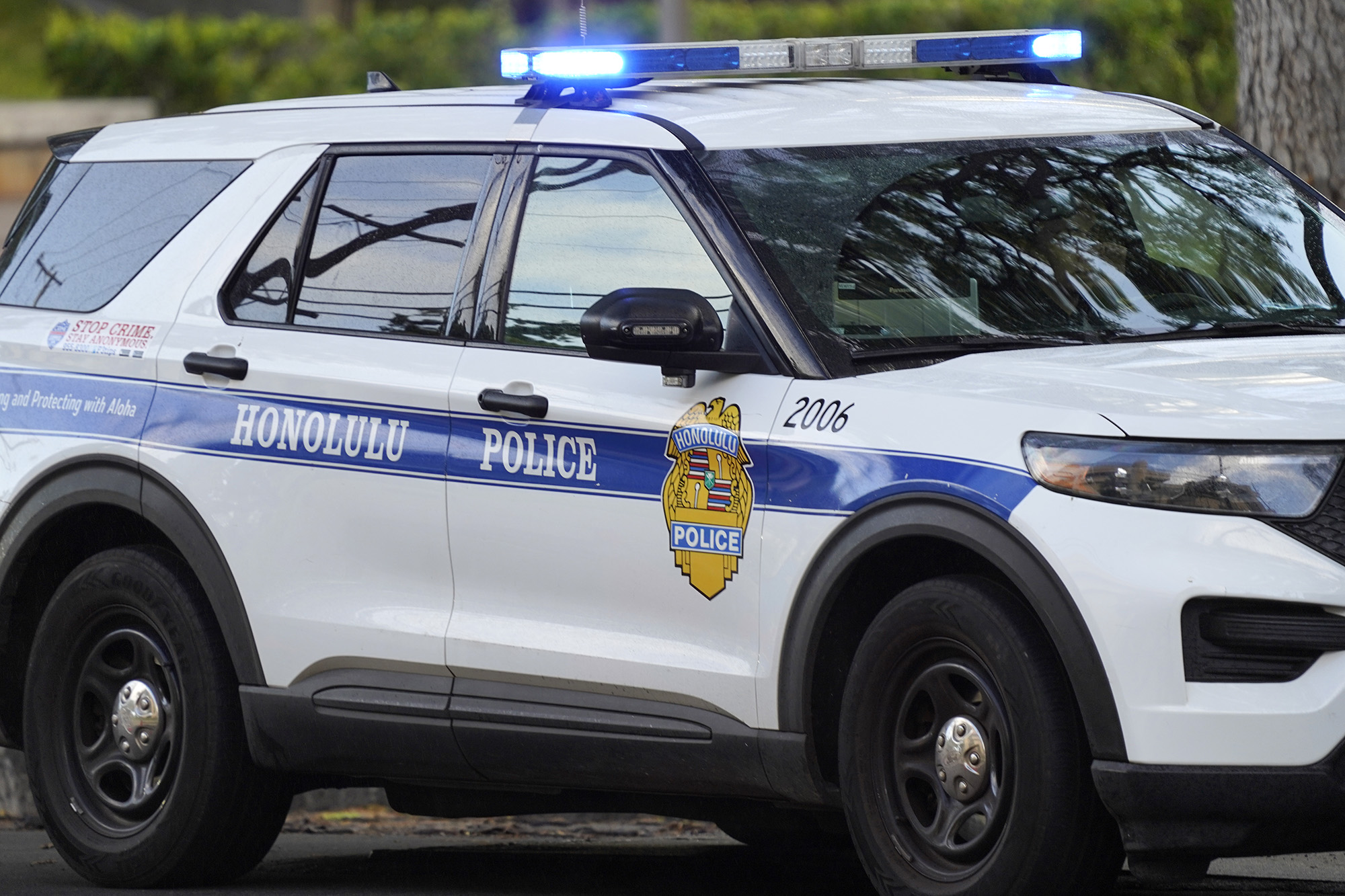 Police Reform: How To Fix A Watchdog That Will Barely Bark, Let Alone Bite - Honolulu Civil Beat
