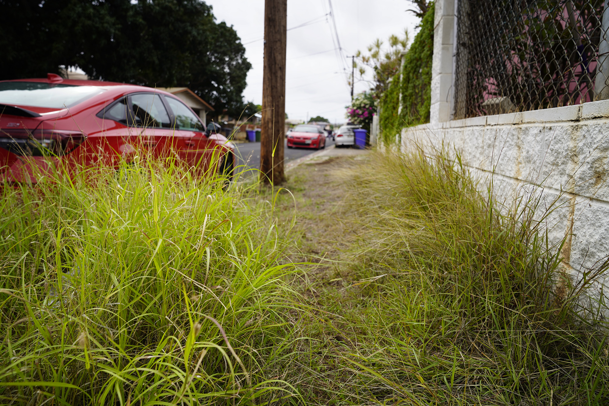 Oʻahu Needs Sidewalks. Should The County Be Required To Build Them? - Honolulu Civil Beat