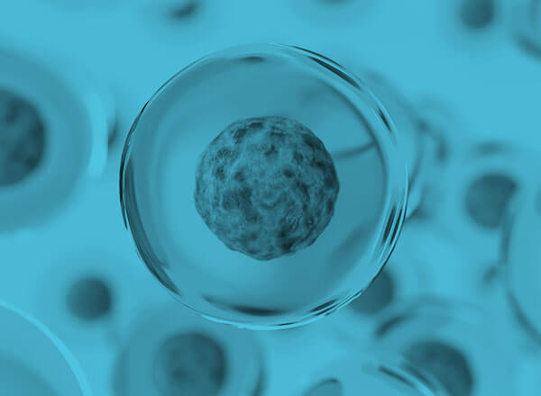 Biology is Eating the World: A Manifesto | Andreessen Horowitz