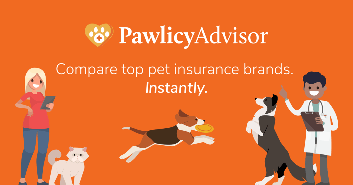 Dr. Kate Boatright | Pawlicy Advisor