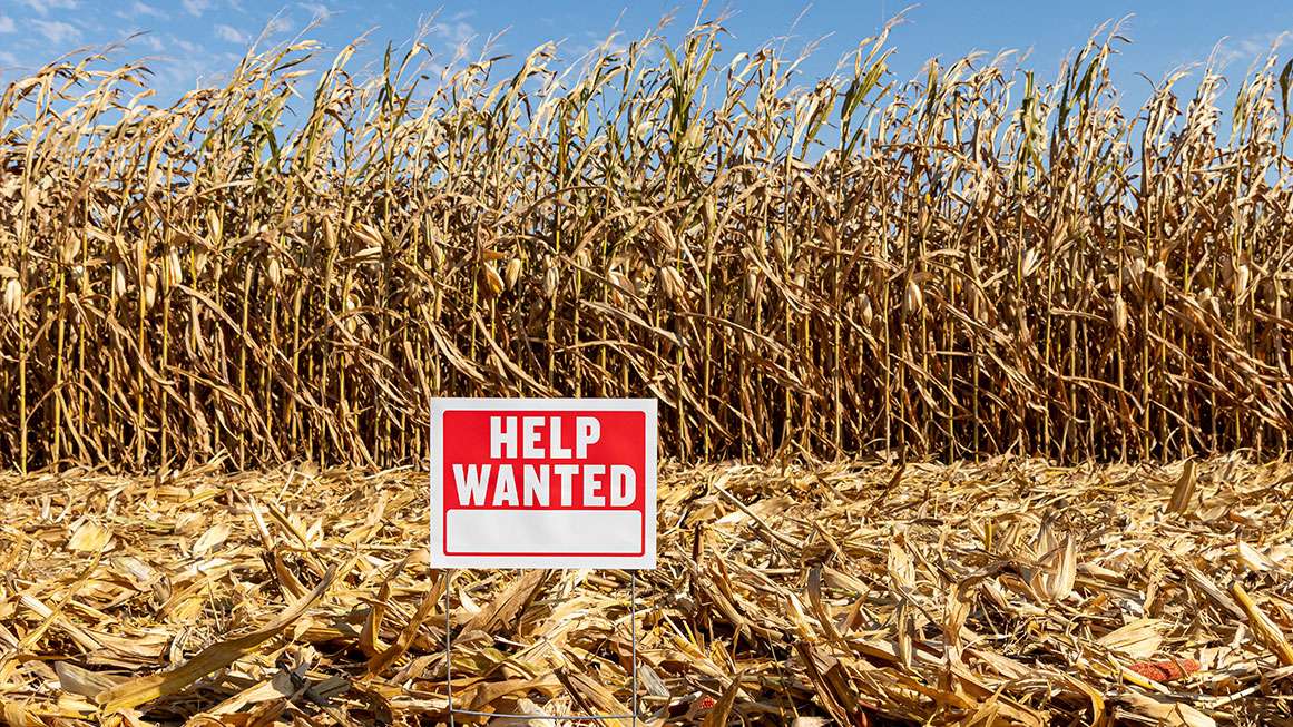'Low-Skilled' Migrant Workers Are Vital to the U.S. Economy