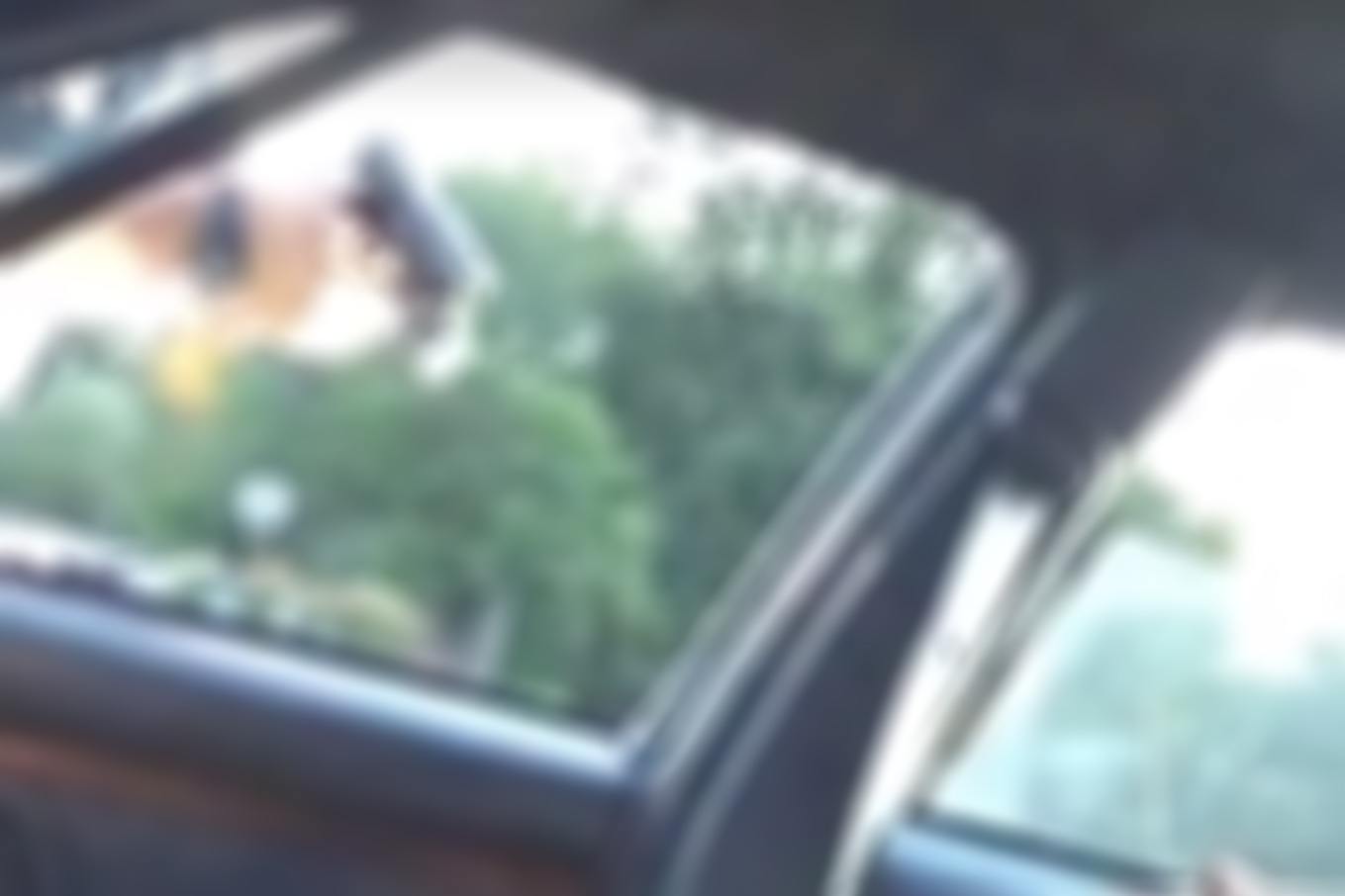 Viral Black Death: Why We Must Watch Citizen Videos of Police Violence - JSTOR Daily